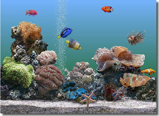 marine aquarium screensaver causes blue screen
